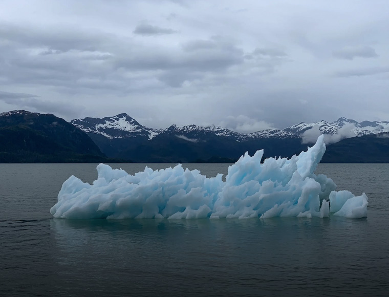 World Economic Forum Launches Toolbox of Solutions to Accelerate Decarbonization in Cities